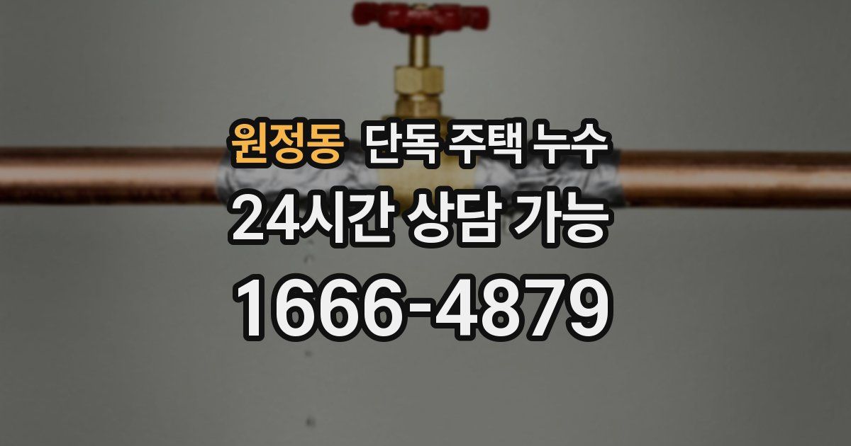 원정동 단독 주택 누수