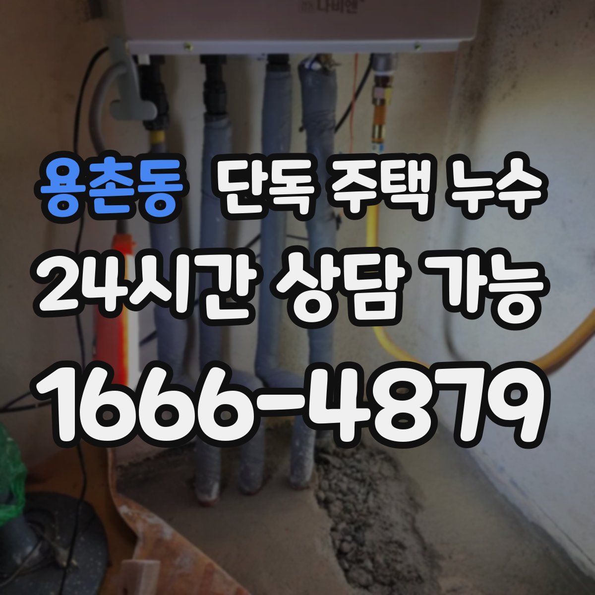 용촌동 단독 주택 누수