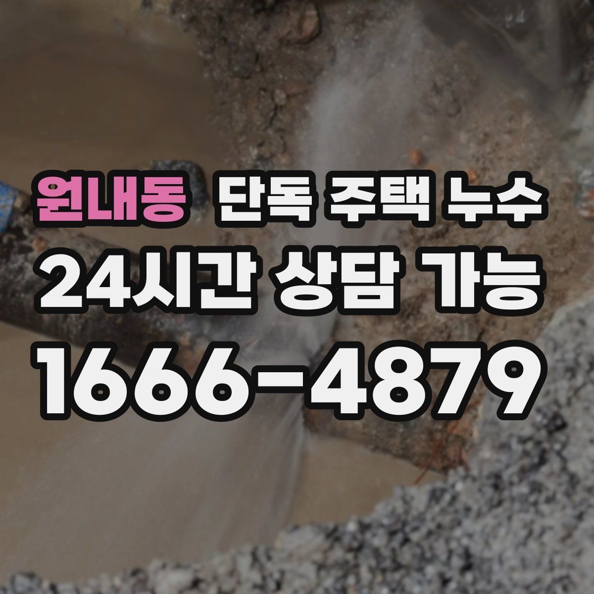 원내동 단독 주택 누수 비 올 때만 새는 창틀 누수 점검
