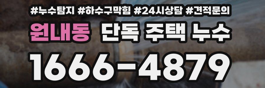 원내동 단독 주택 누수