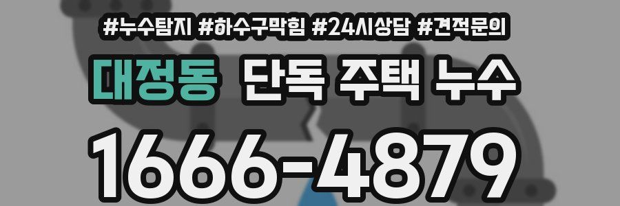 대정동 단독 주택 누수