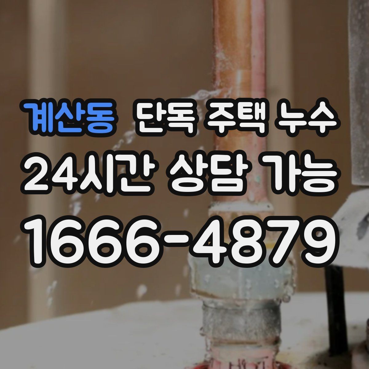 계산동 단독 주택 누수 장판 아래 물이 차오르는 느낌일 때