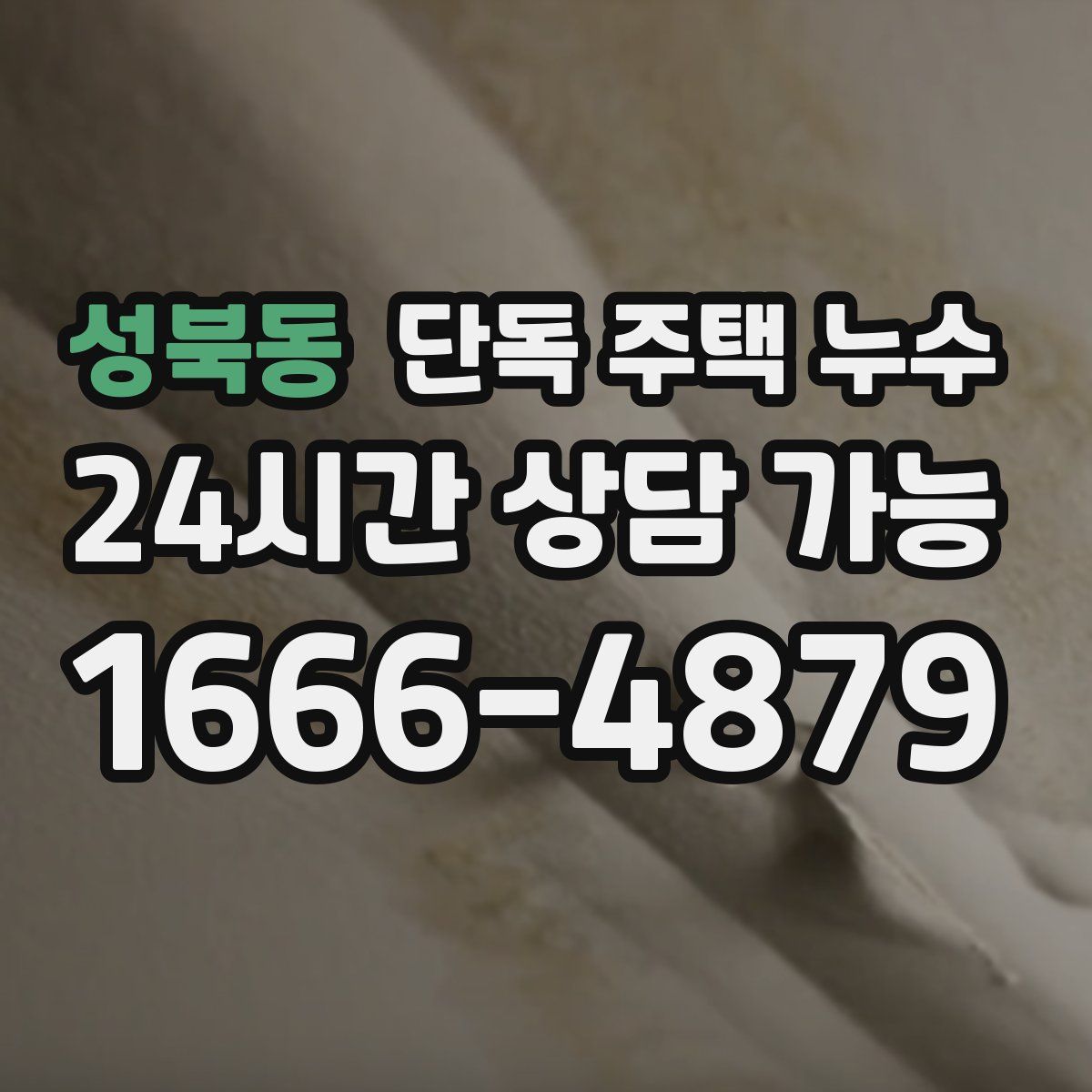 성북동 단독 주택 누수