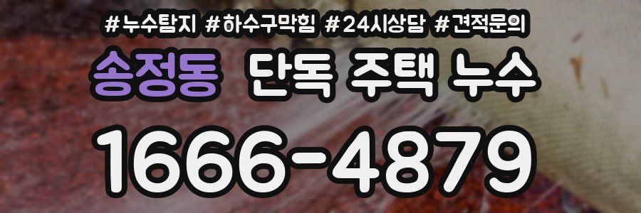 송정동 단독 주택 누수