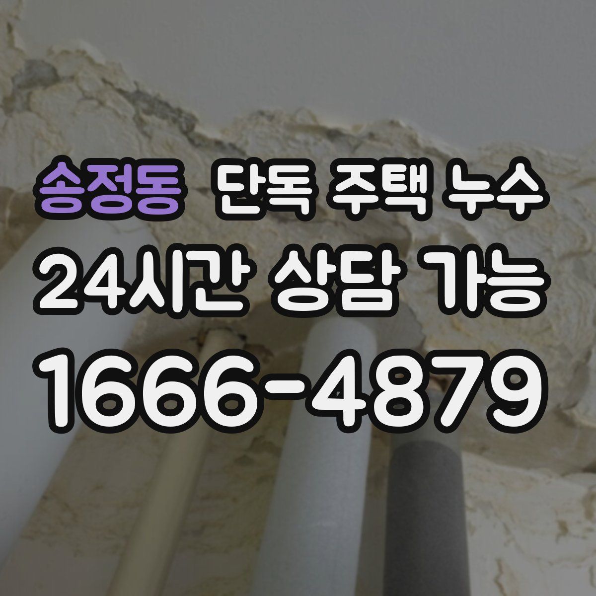 송정동 단독 주택 누수