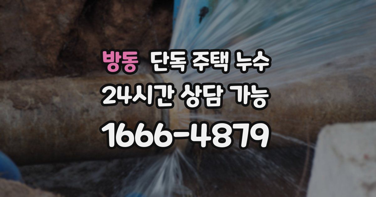 방동 단독 주택 누수