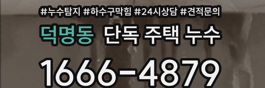 덕명동 단독 주택 누수