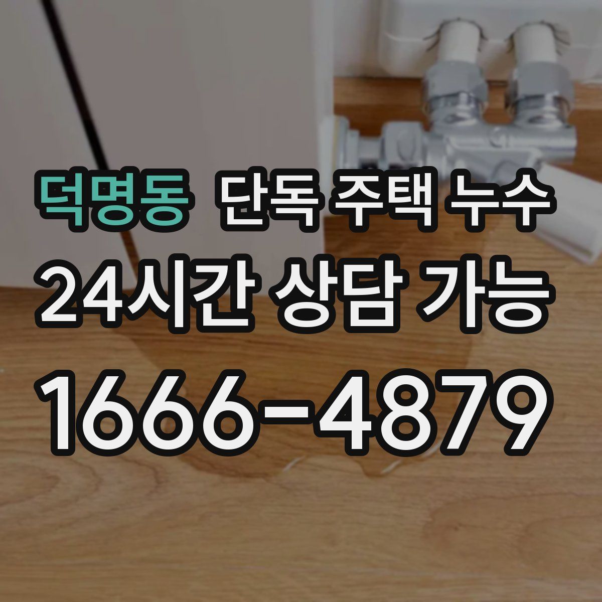 덕명동 단독 주택 누수