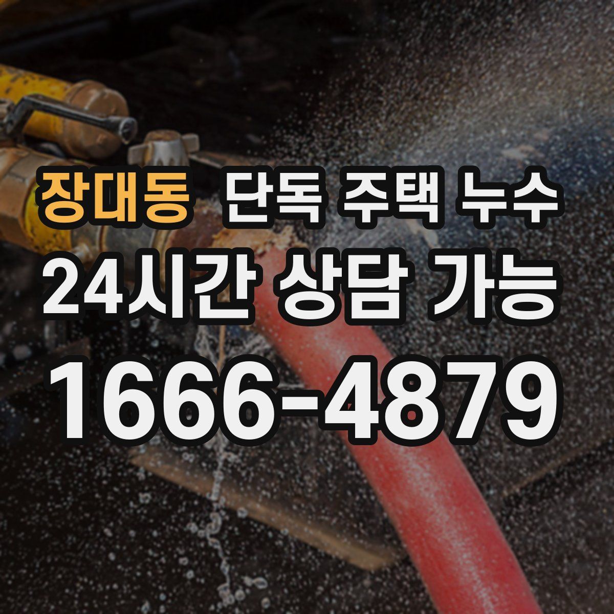 장대동 단독 주택 누수