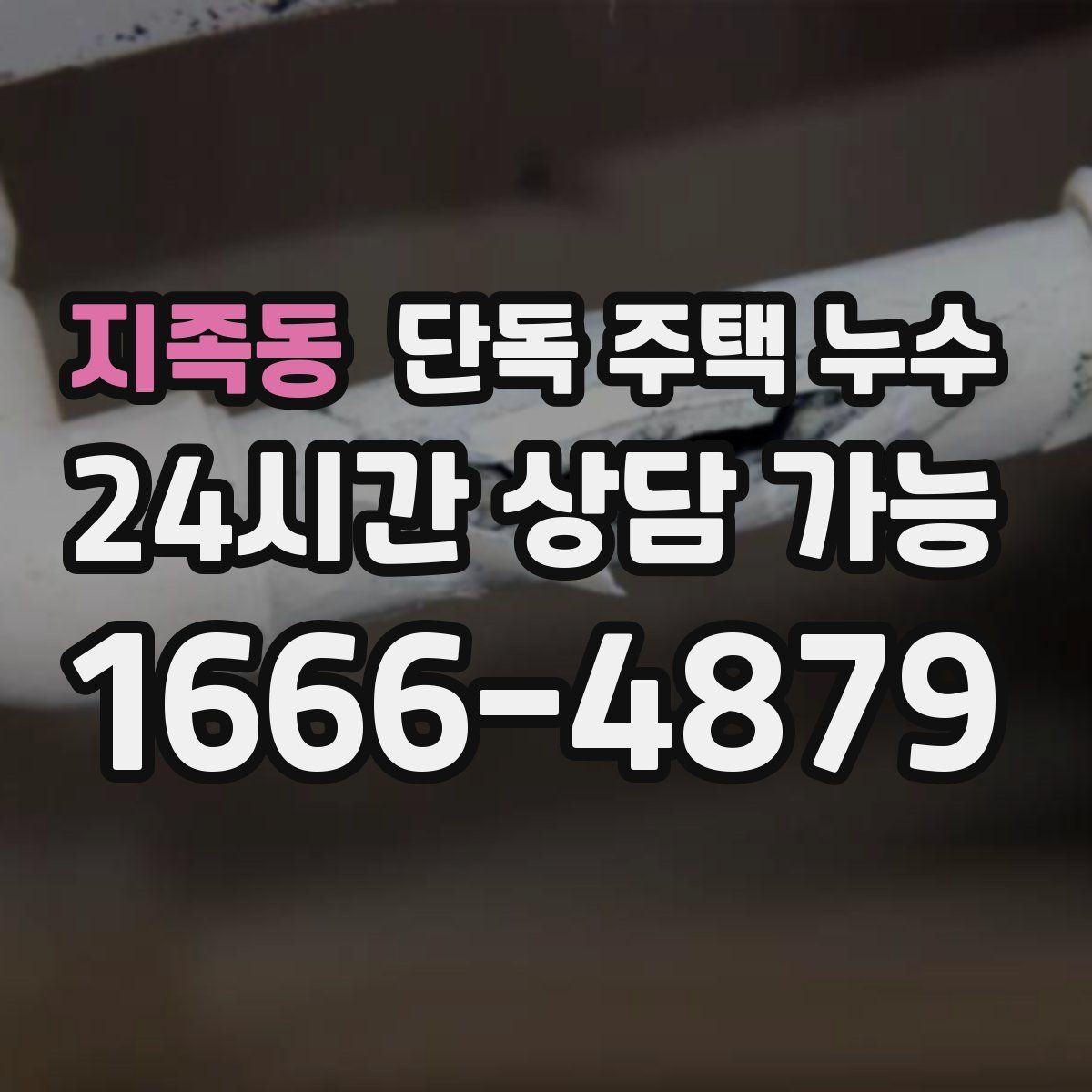 지족동 단독 주택 누수