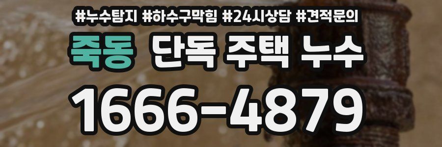 죽동 단독 주택 누수