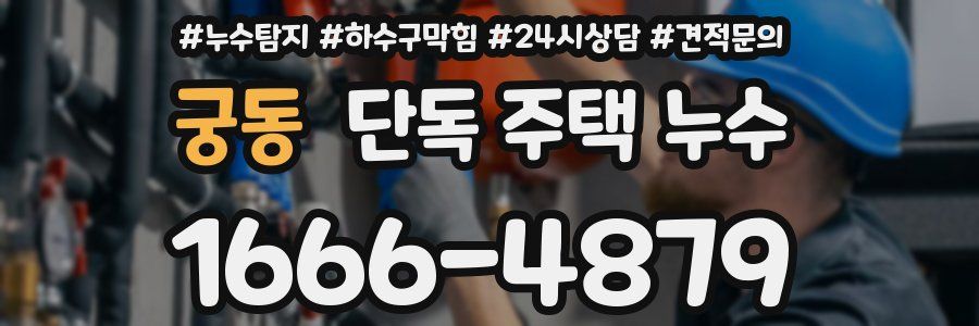 궁동 단독 주택 누수