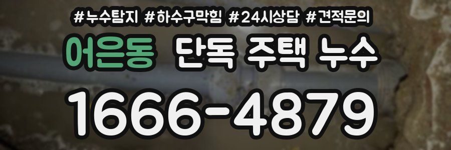 어은동 단독 주택 누수