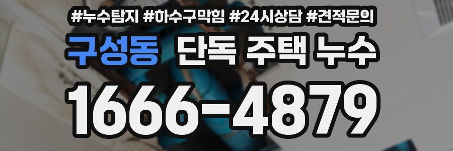 구성동 단독 주택 누수