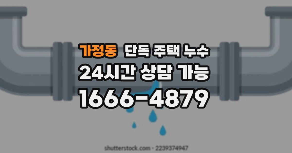 가정동 단독 주택 누수