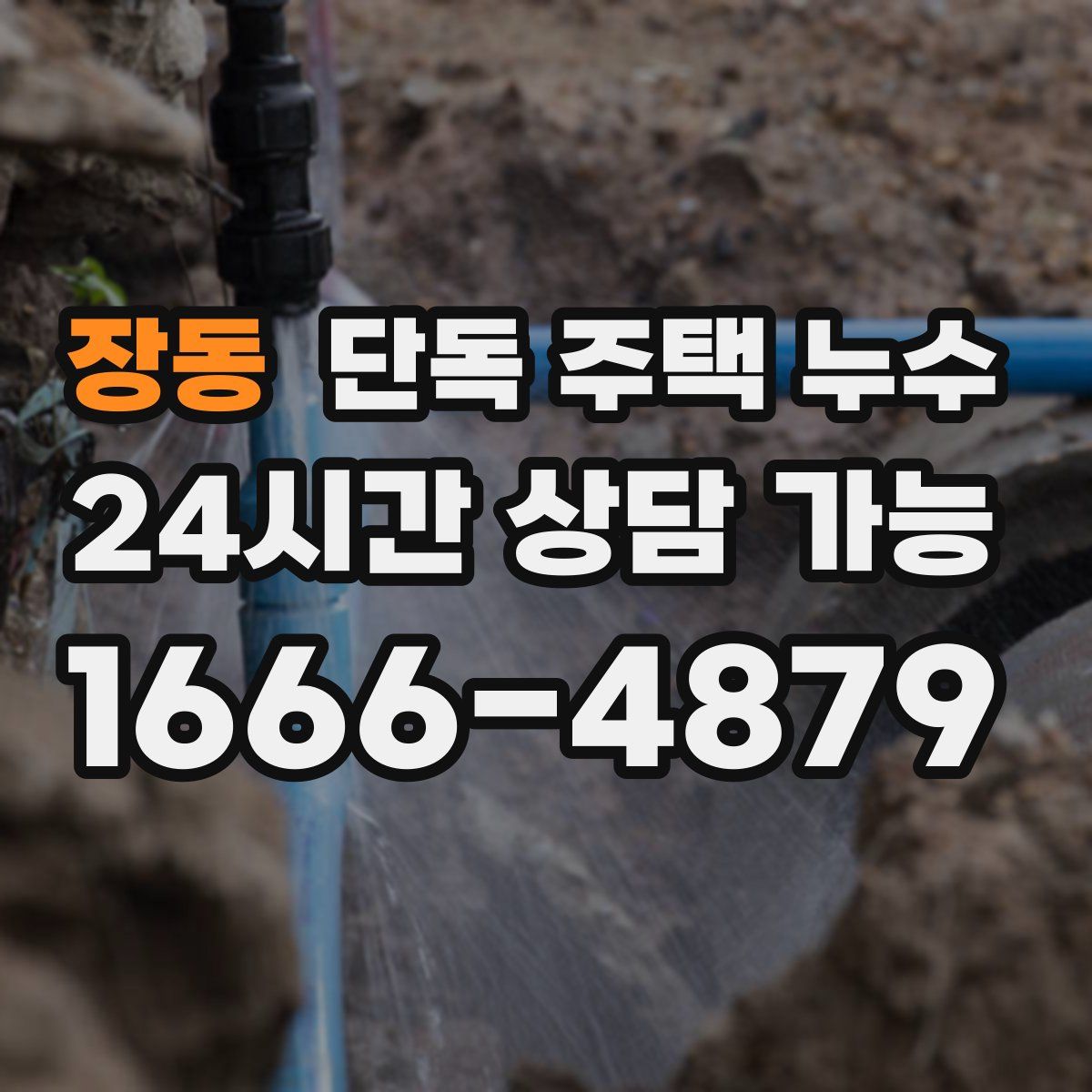 장동 단독 주택 누수