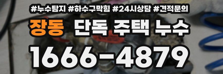 장동 단독 주택 누수