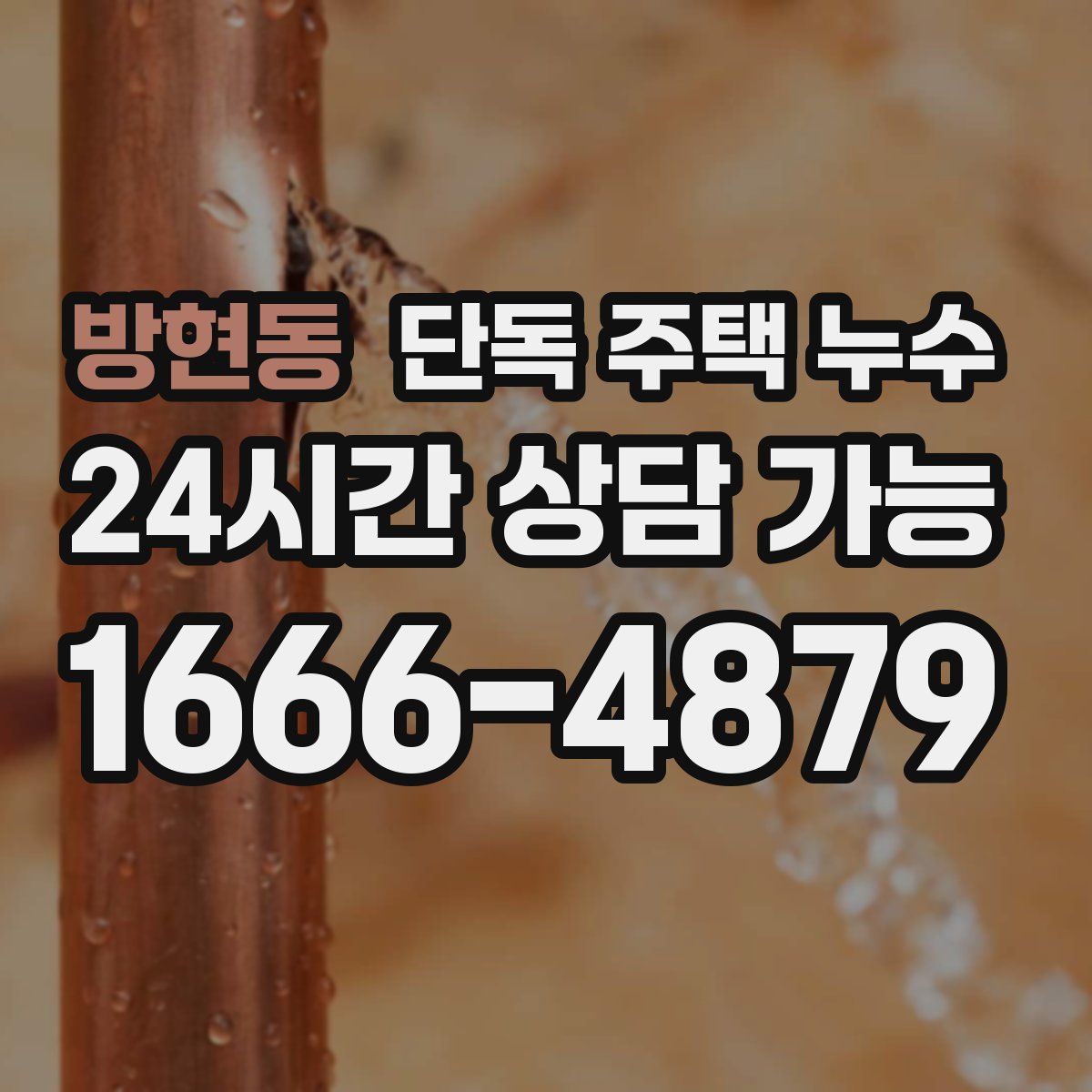 방현동 단독 주택 누수