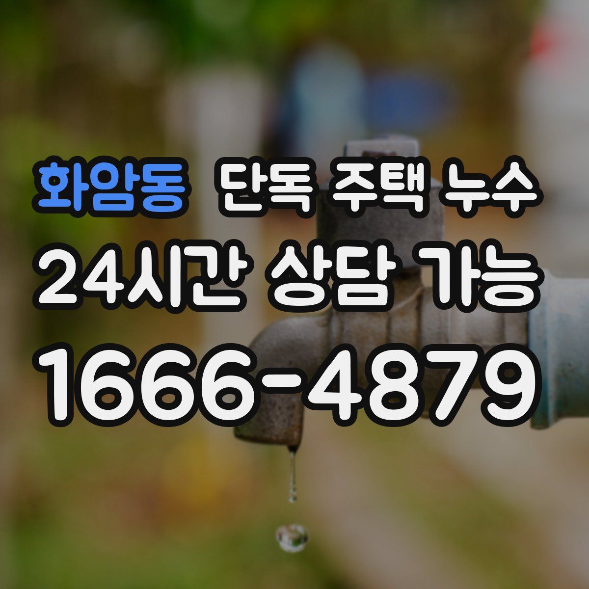 화암동 단독 주택 누수