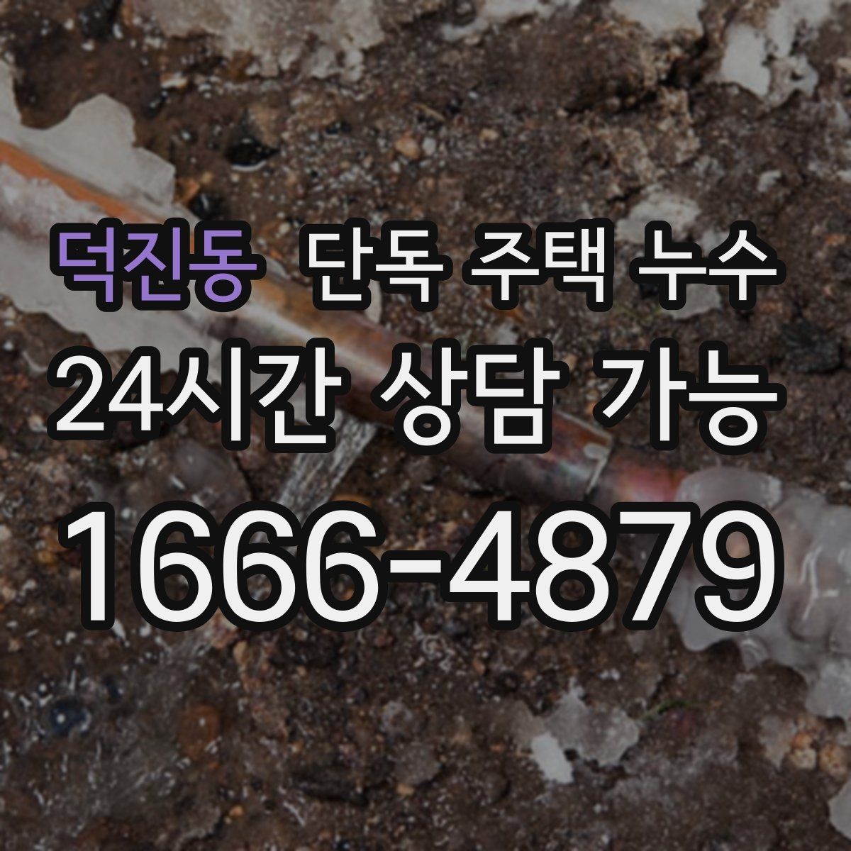 덕진동 단독 주택 누수 장마철 긴급 상황에서 우선순위는 무엇일까