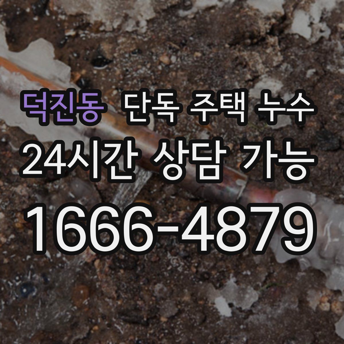 덕진동 단독 주택 누수