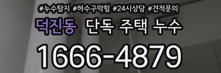 덕진동 단독 주택 누수