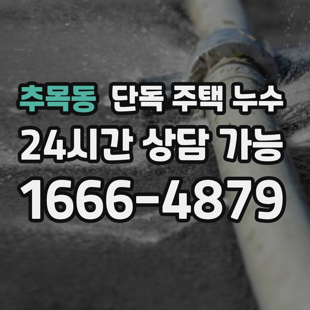 추목동 단독 주택 누수