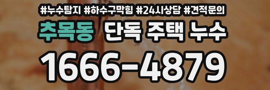 추목동 단독 주택 누수