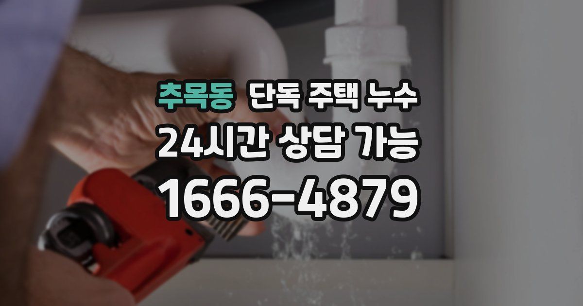 추목동 단독 주택 누수