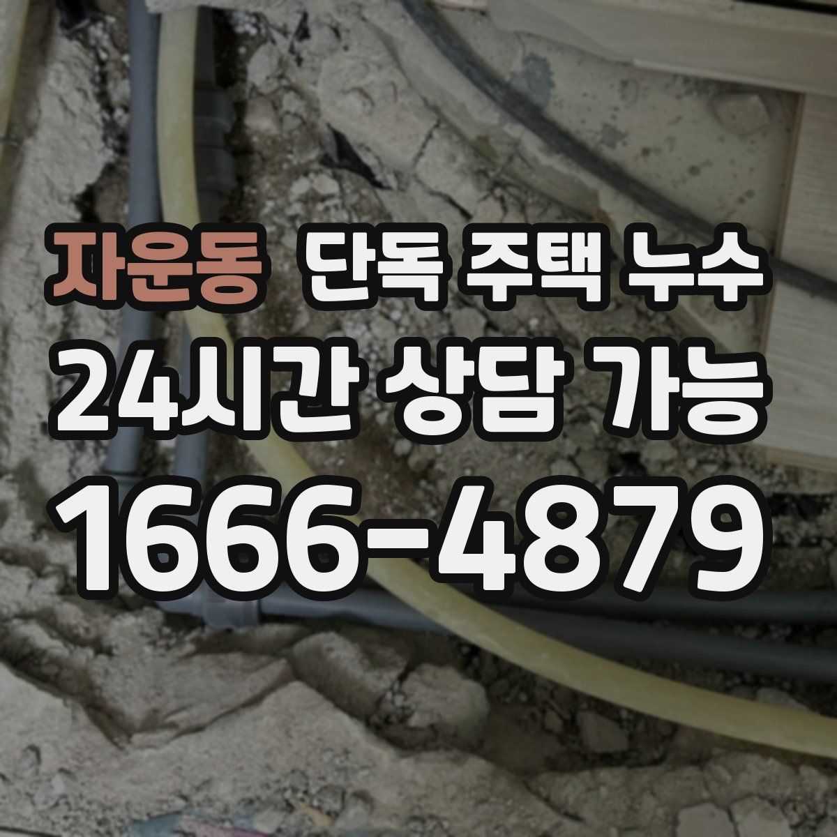 자운동 단독 주택 누수