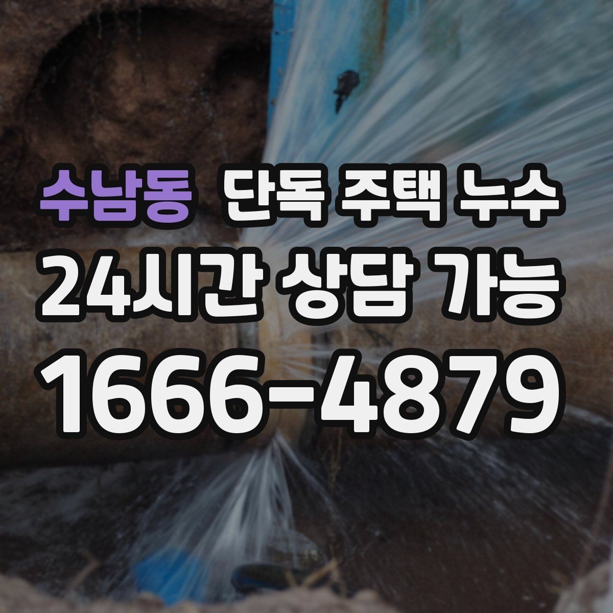 수남동 단독 주택 누수 마루가 삐걱거리며 뜰 때 점검 방법