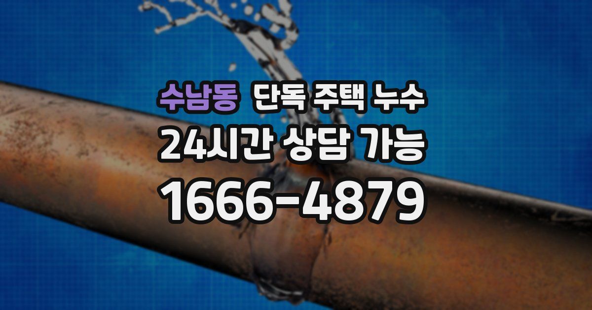수남동 단독 주택 누수