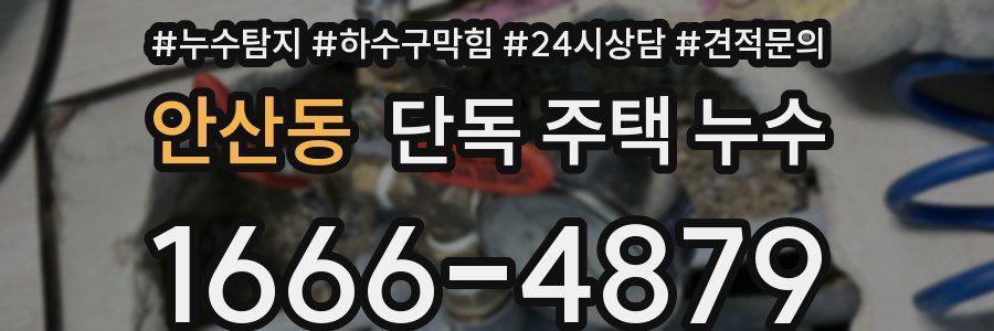 안산동 단독 주택 누수