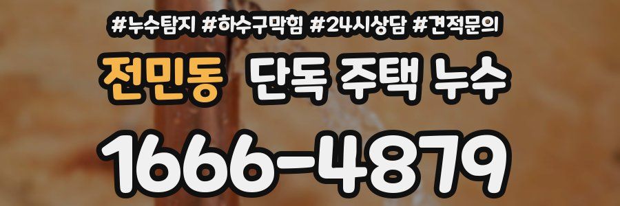 전민동 단독 주택 누수
