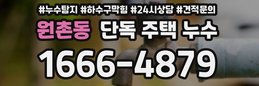 원촌동 단독 주택 누수