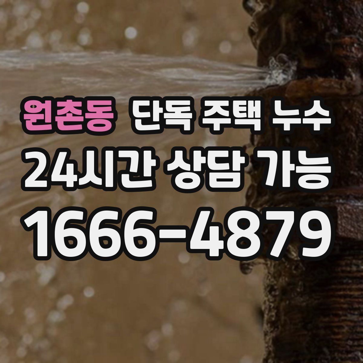 원촌동 단독 주택 누수