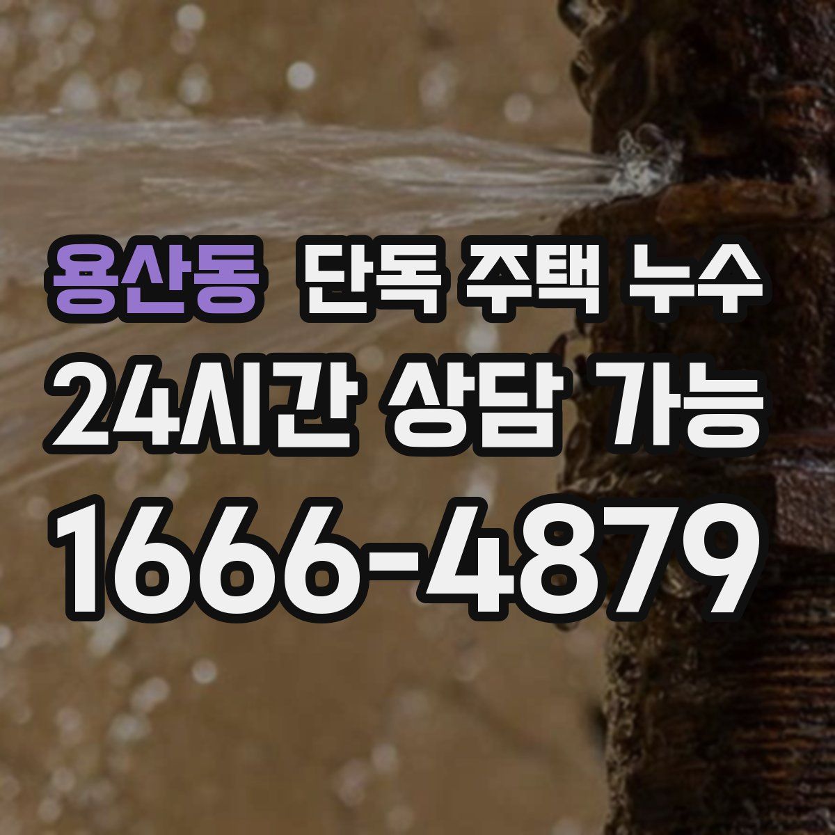 용산동 단독 주택 누수