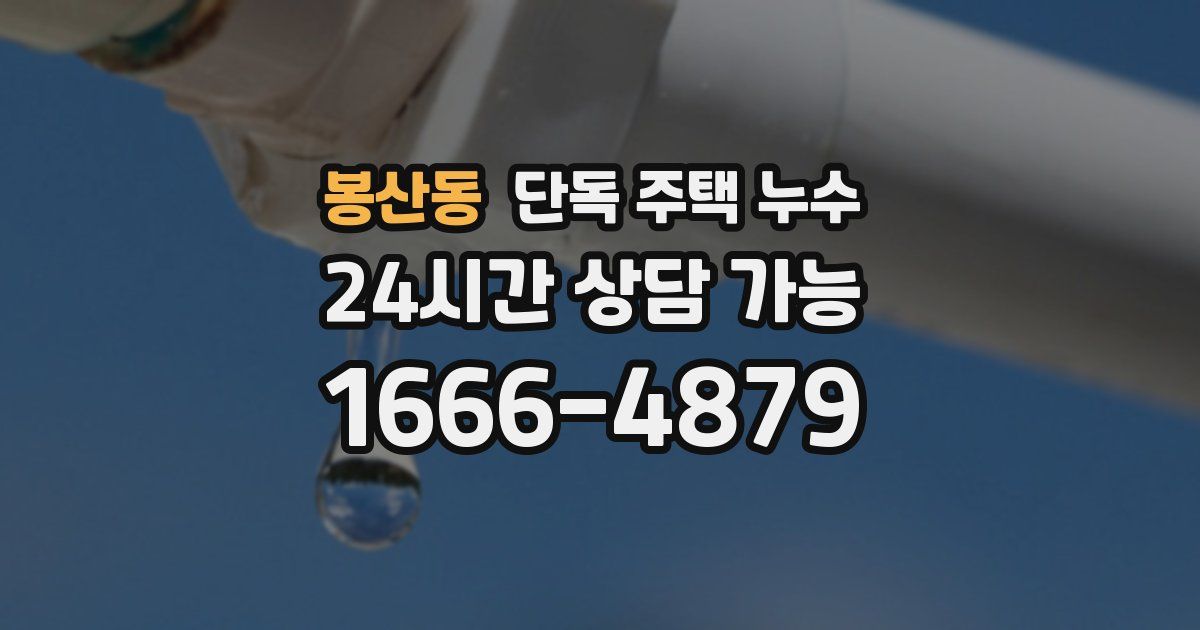 봉산동 단독 주택 누수