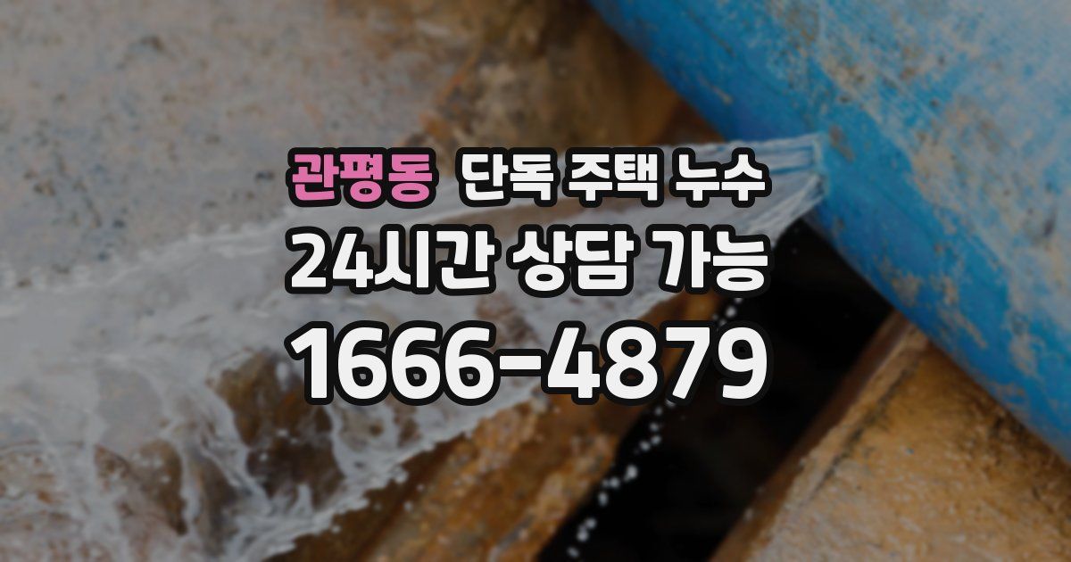 관평동 단독 주택 누수