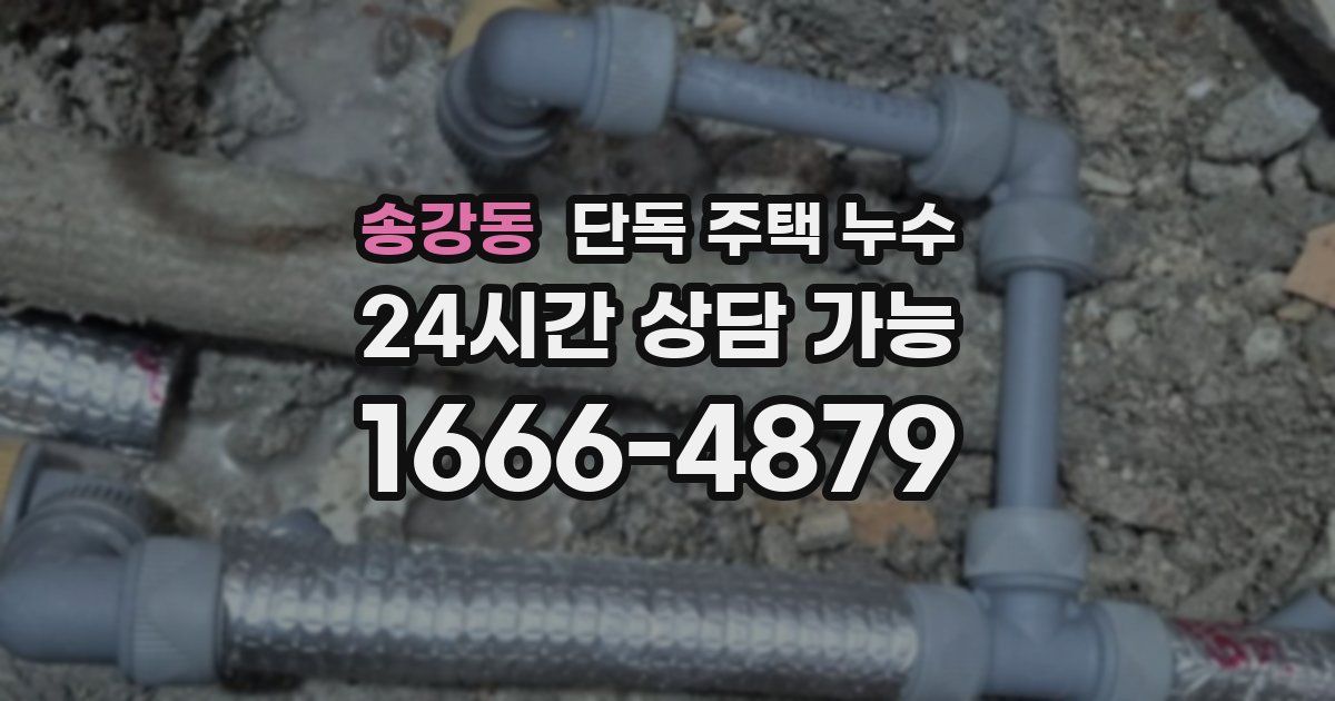 송강동 단독 주택 누수