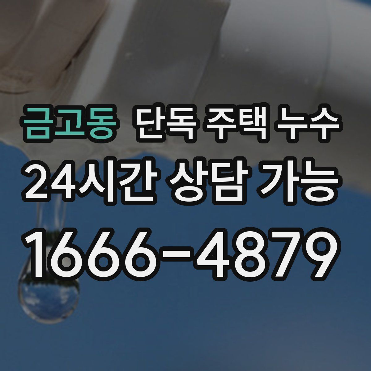 금고동 단독 주택 누수