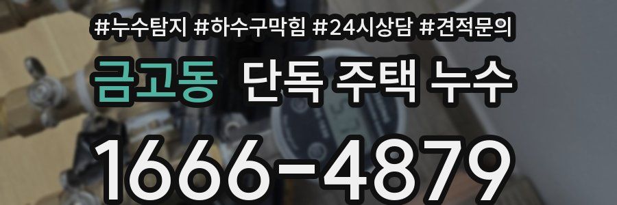 금고동 단독 주택 누수