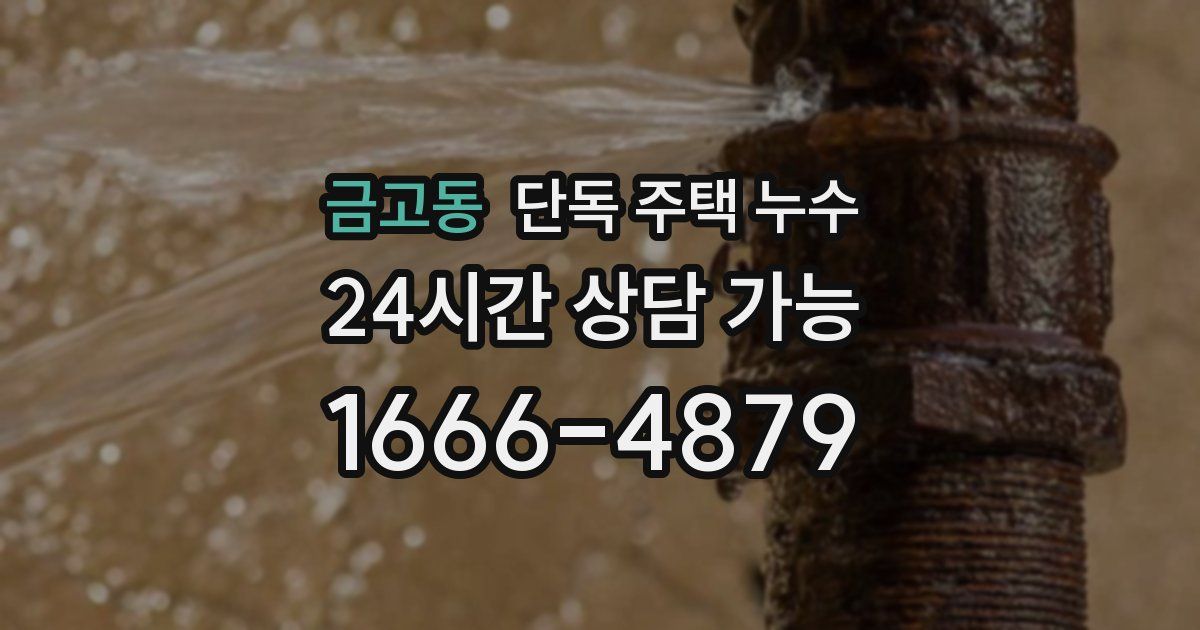 금고동 단독 주택 누수
