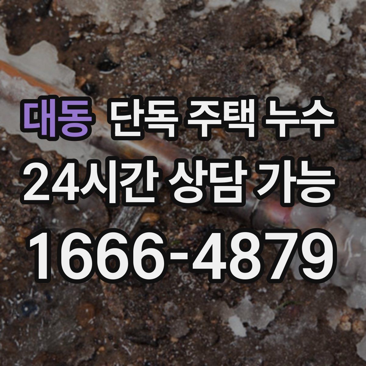 대동 단독 주택 누수 누수 발생 시 사진 기록이 중요한 이유