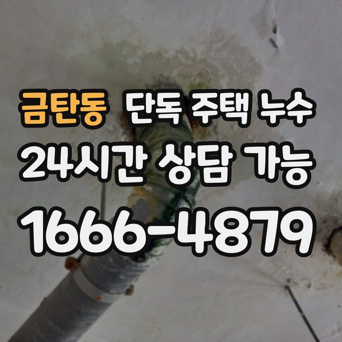 금탄동 단독 주택 누수 장판 아래 곰팡이 생겼다면 무엇을 의심할까
