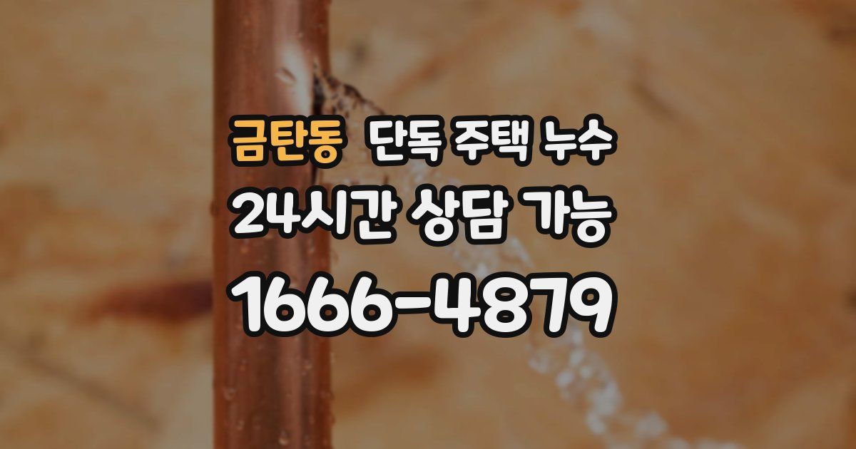 금탄동 단독 주택 누수