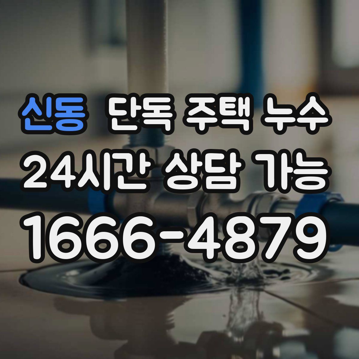 신동 단독 주택 누수