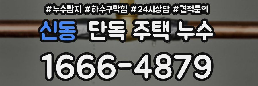 신동 단독 주택 누수