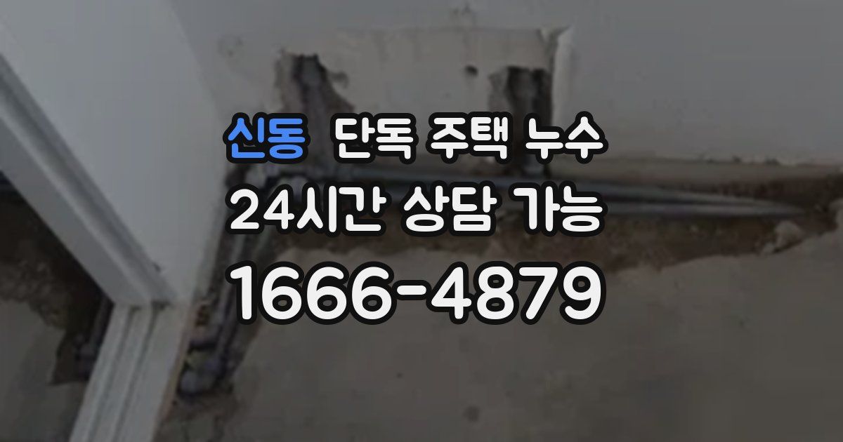 신동 단독 주택 누수
