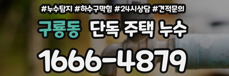 구룡동 단독 주택 누수